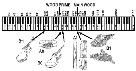 Cavity & Body Modes